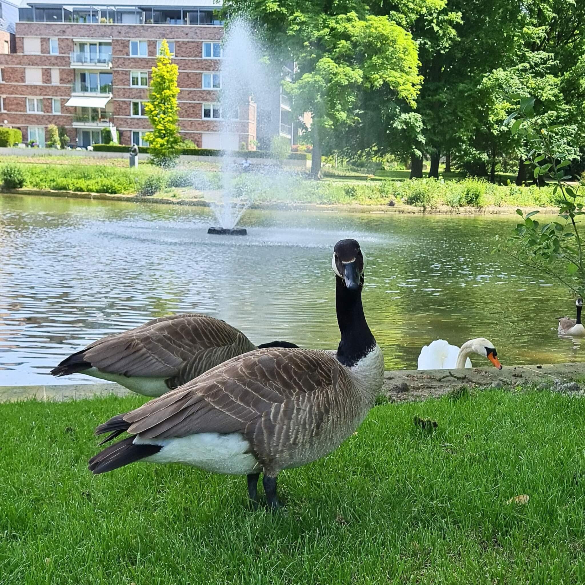 Kloostertuin Meerssen mooie wandeling vlakbij Maastricht