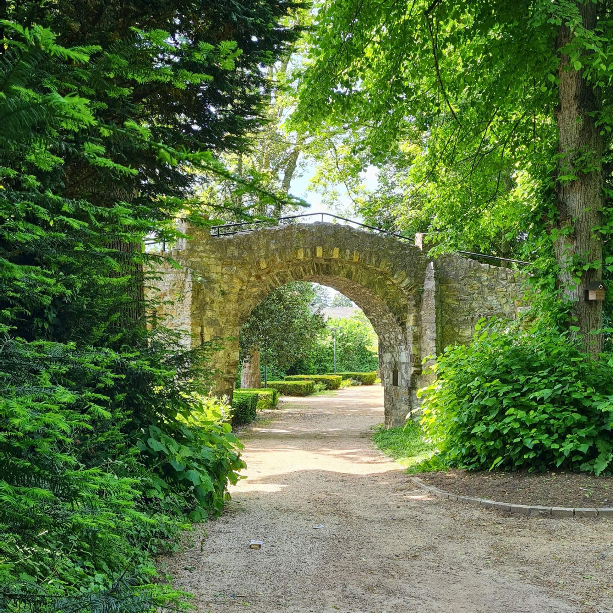 Wandelen in een van de mooiste plekken van Zuid-Limburg